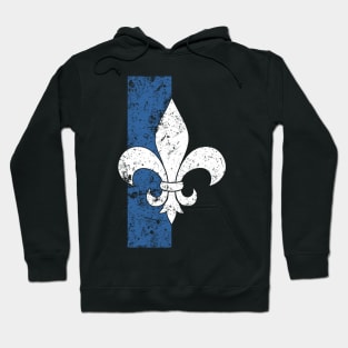 Fleur de lis Musketeers Hoodie